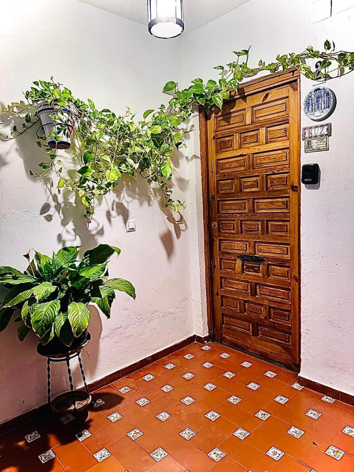 Apartamentos Ruz Córdoba Exteriér fotografie